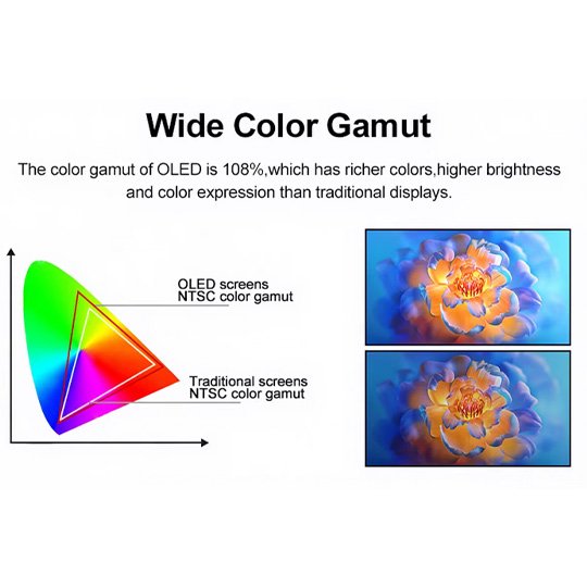See Through Transparent OLED Display Solutions