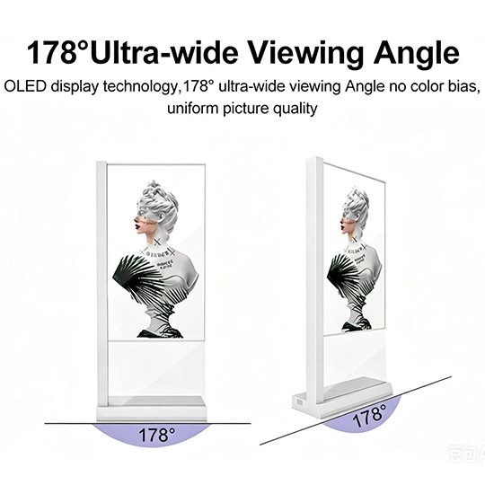 Transparent OLED Functional Characteristics